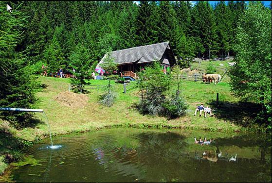 Hotel Panoramadorf Saualpe Eberstein Exteriér fotografie